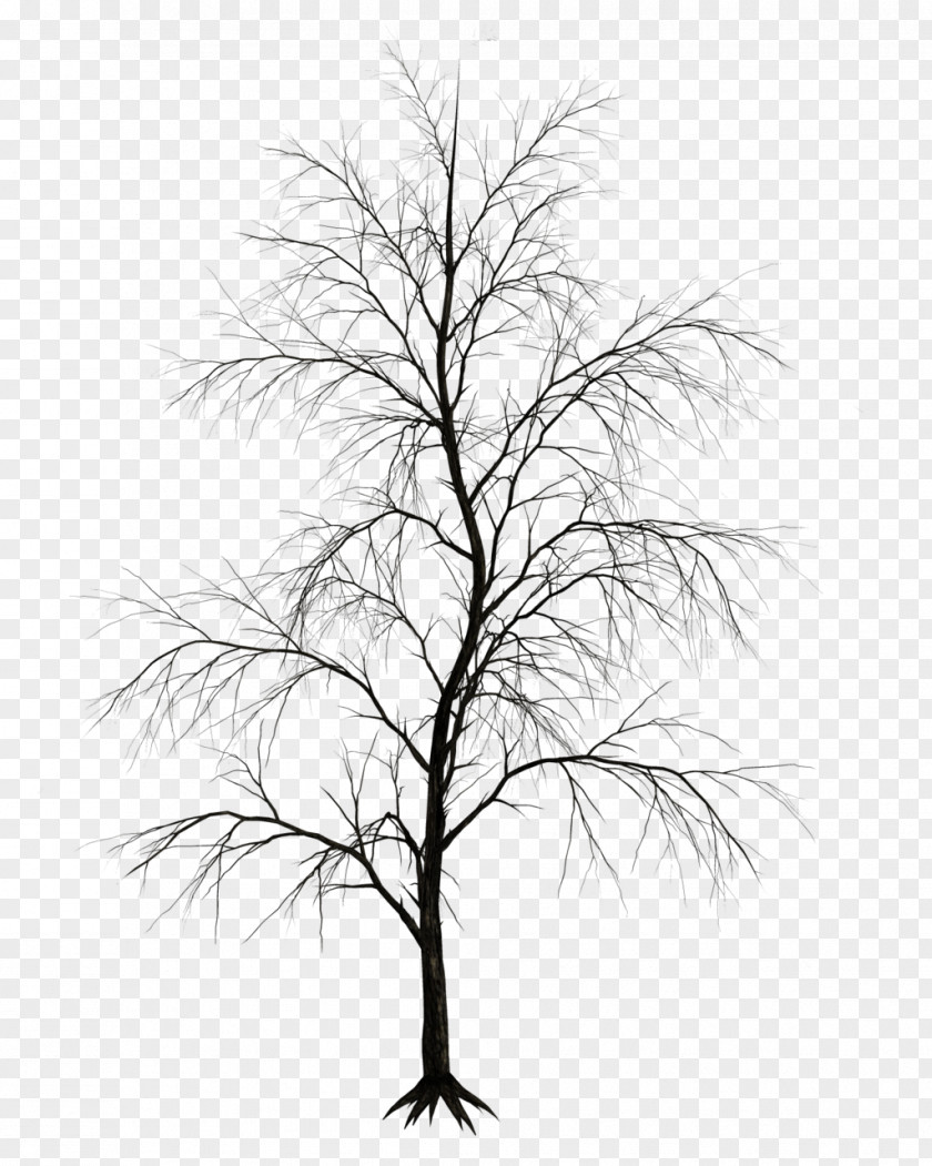 Watercolor Tree Drawing Branch Clip Art PNG
