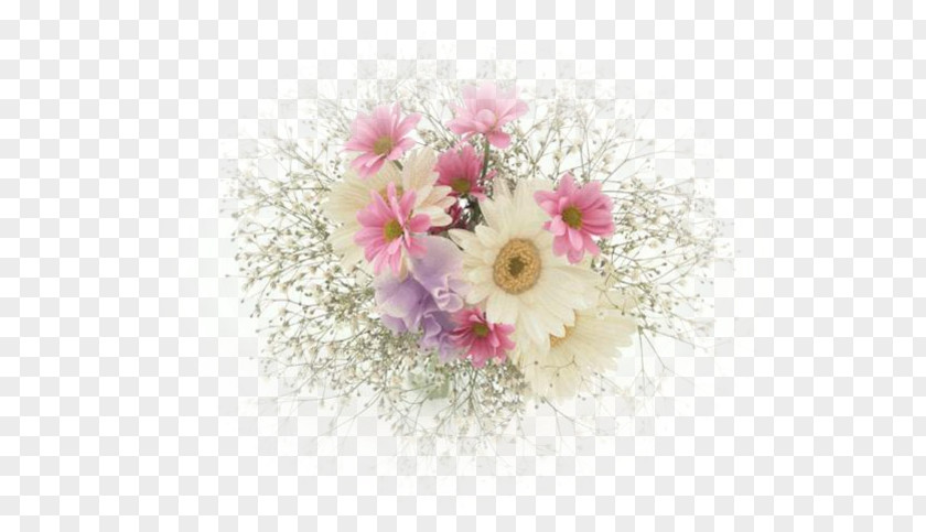 Cef Flower Bouquet Desktop Wallpaper Common Daisy PNG