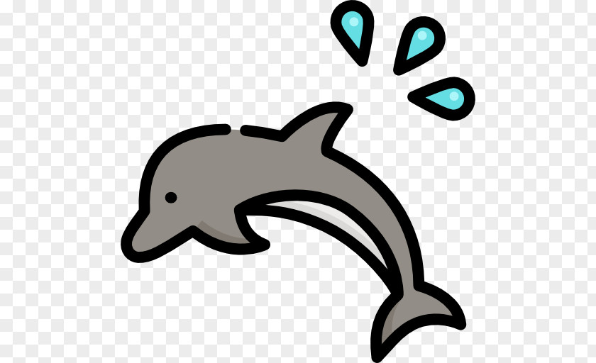 Dolphin 가야지 Porpoise Cetacea Clip Art PNG