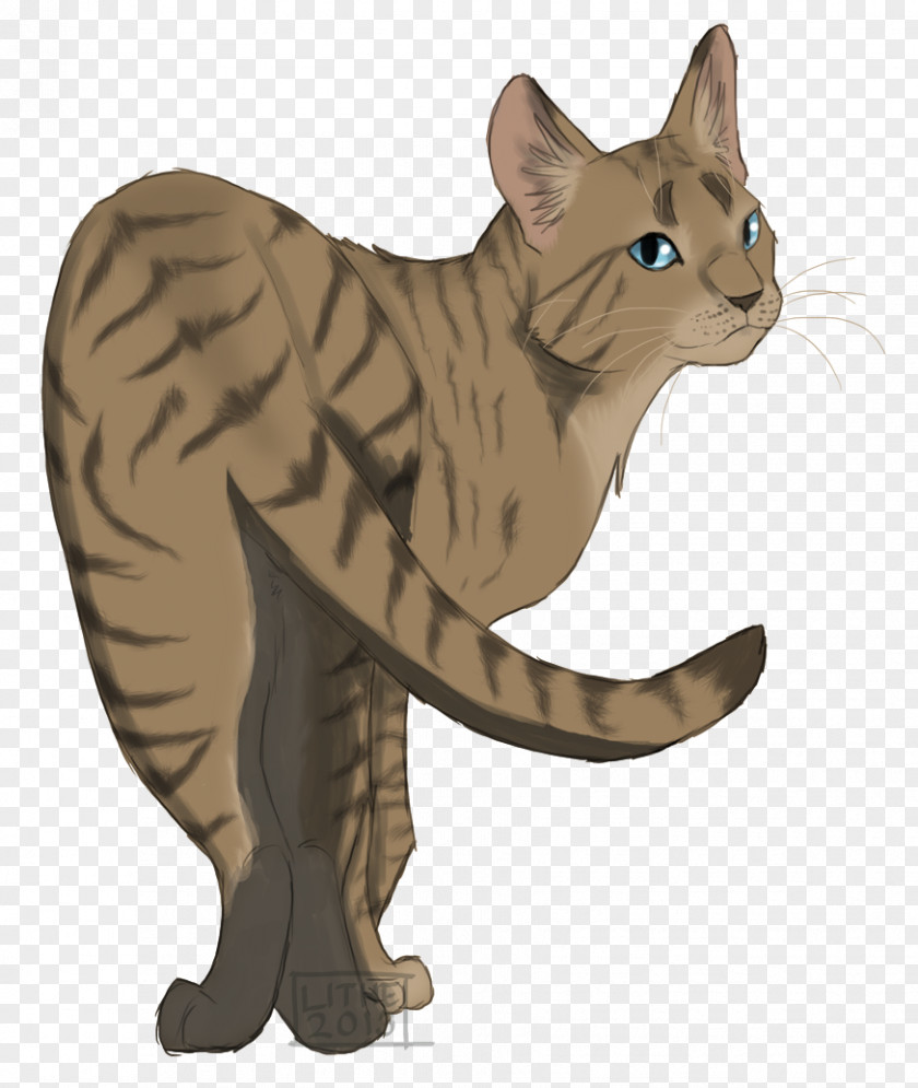 Lithe The Rise Of Scourge Warriors Littlecloud Erin Hunter Cinderpelt PNG