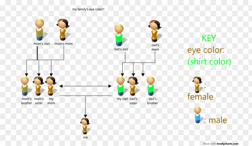 My Family Members Diagram Pedigree Chart Eye Color PNG