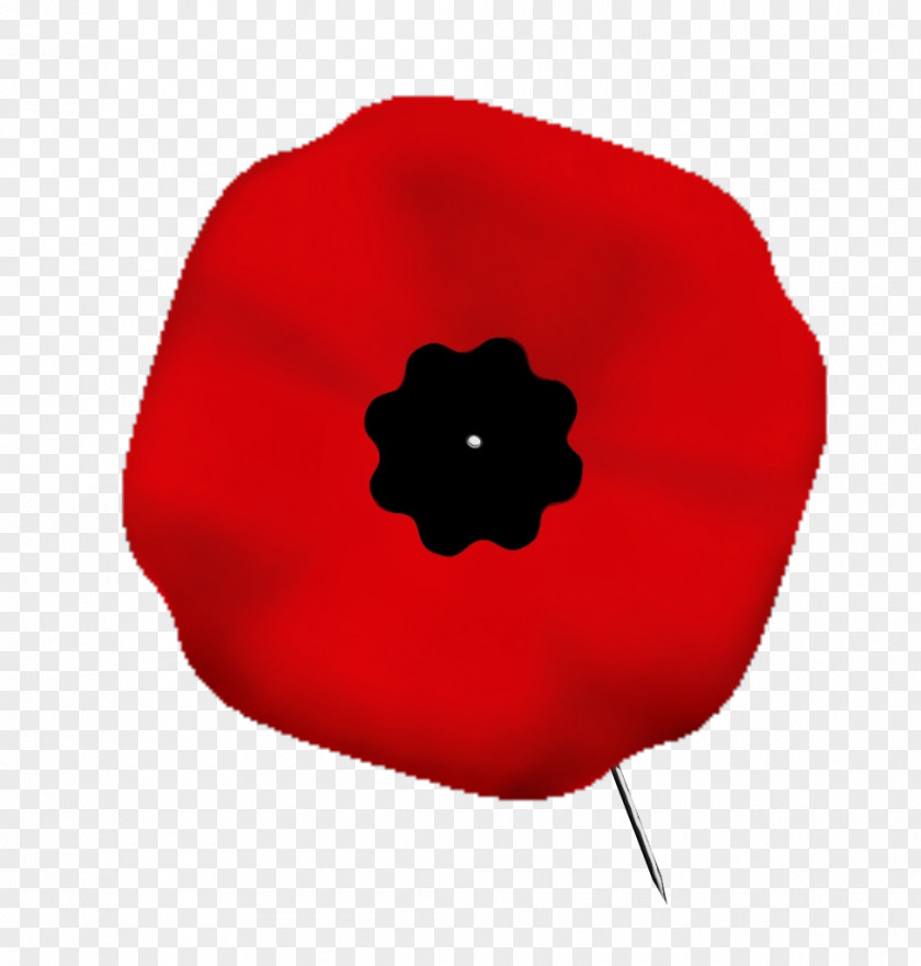 Anemone Corn Poppy Remembrance Day PNG