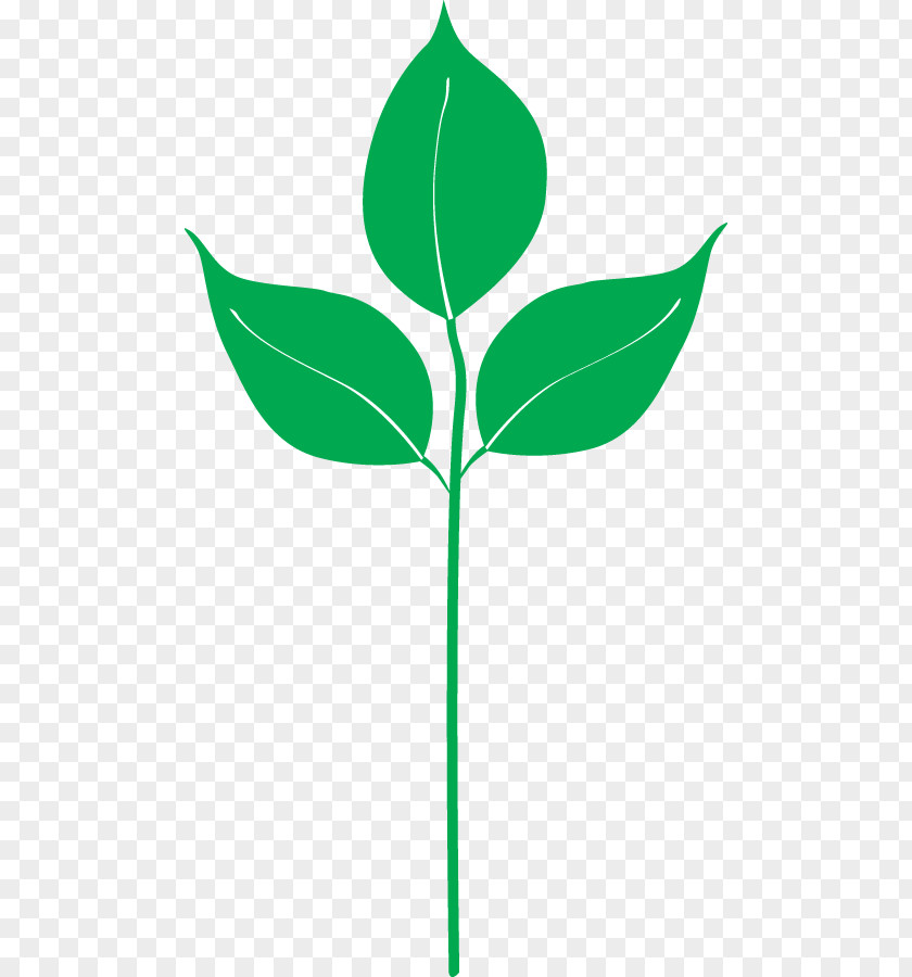 Appoint Silhouette Clip Art Plant Stem Leaf Flowering Line PNG