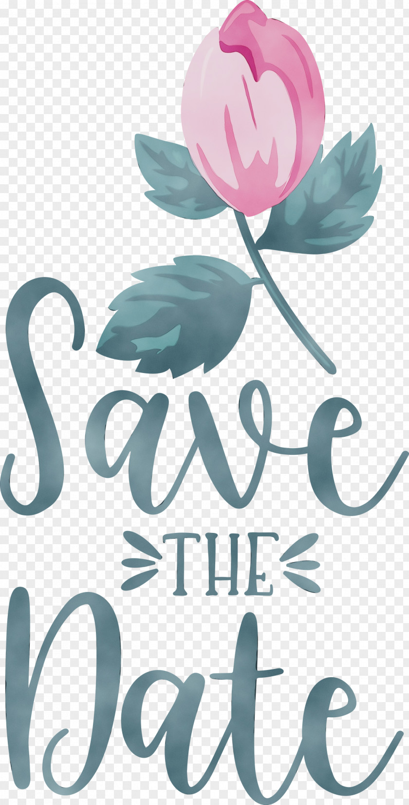 Floral Design PNG