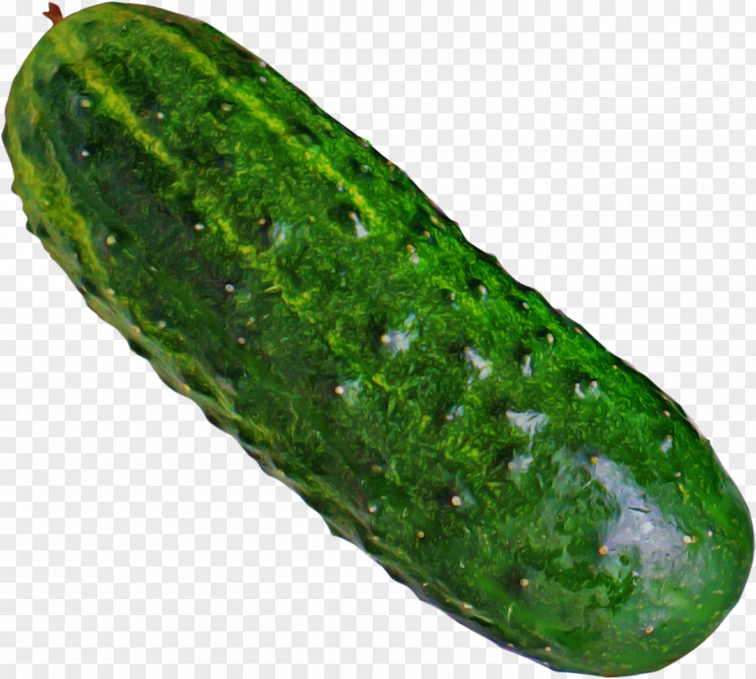 Gherkin Vegetarian Food Cucumber Vegetable Plant Cucumber, Gourd, And Melon Family PNG