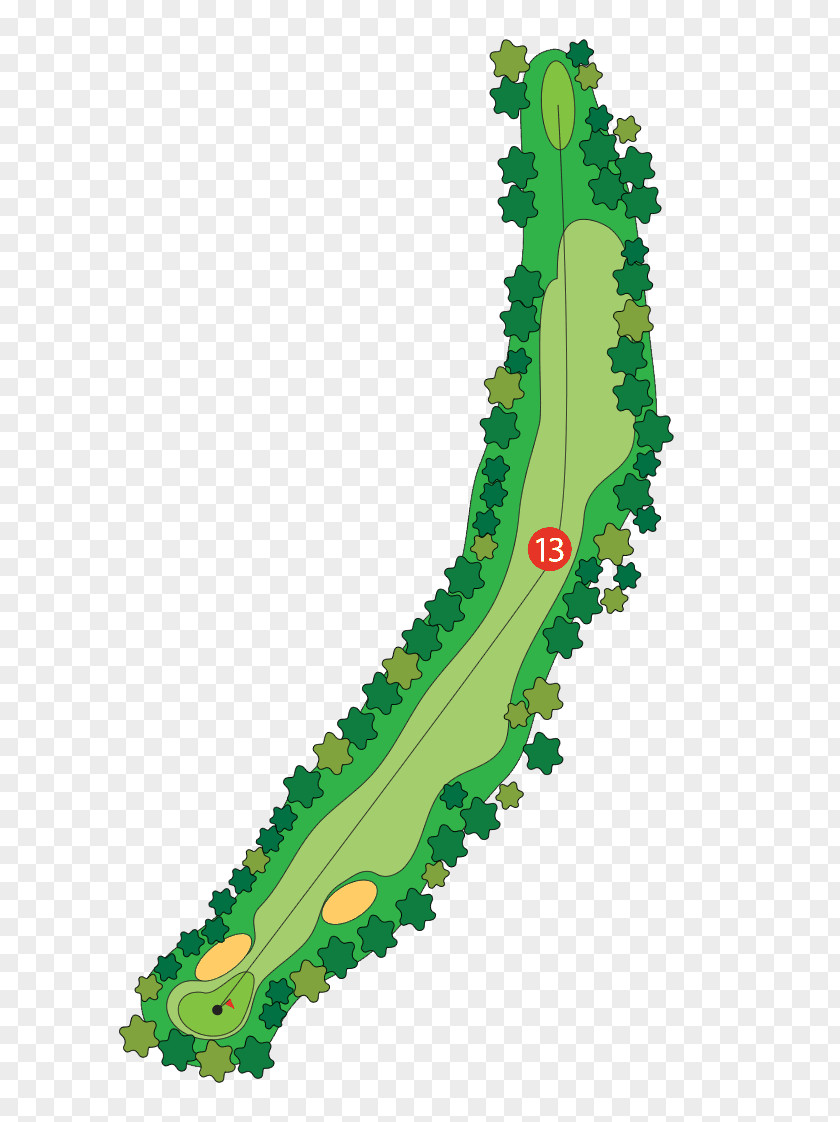 Golf Course Tees Wood Par PNG