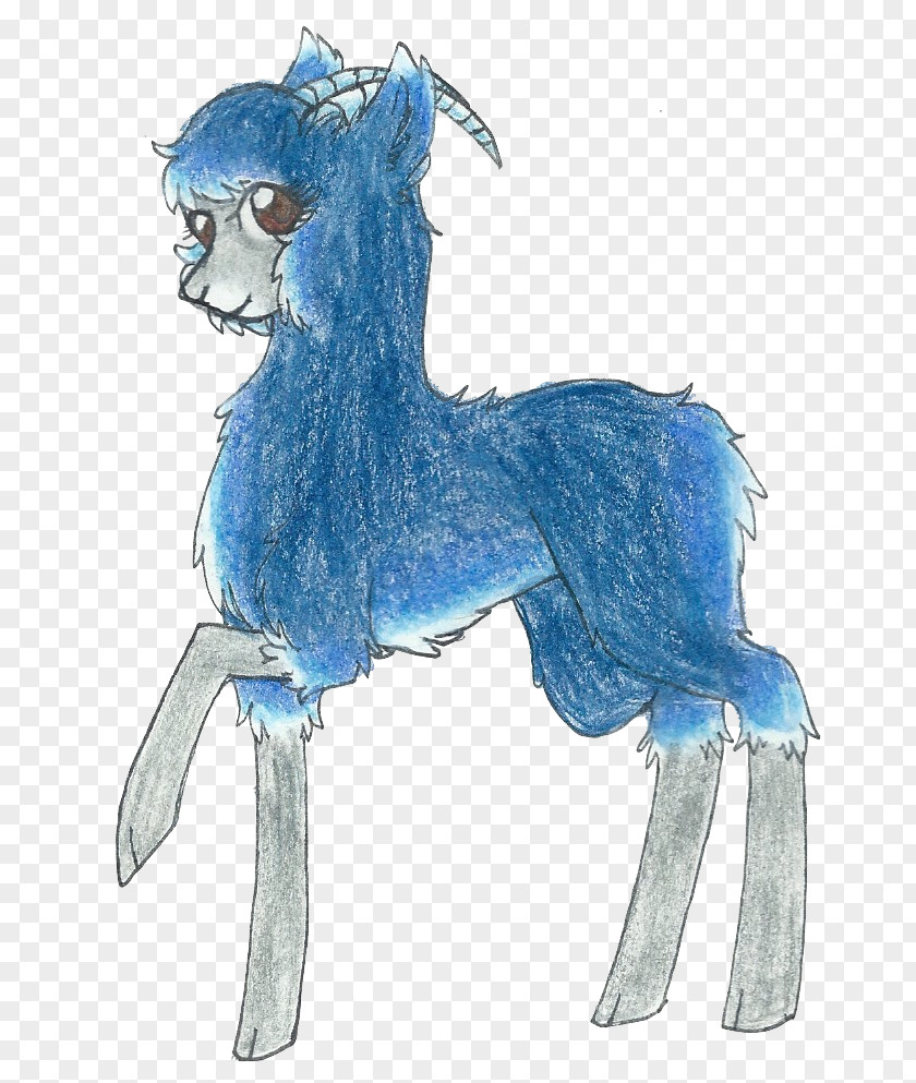 Sheep Pony Bighorn Drawing /m/02csf PNG