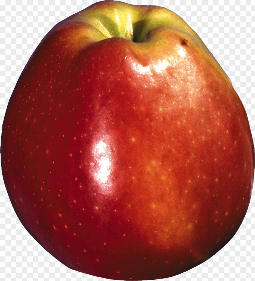 Apple Accessory Fruit Windows Thumbnail Cache PNG