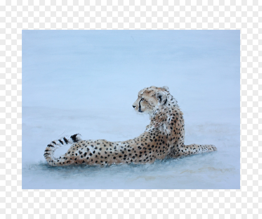 Cheetah Paper Drawing Printmaking Art PNG