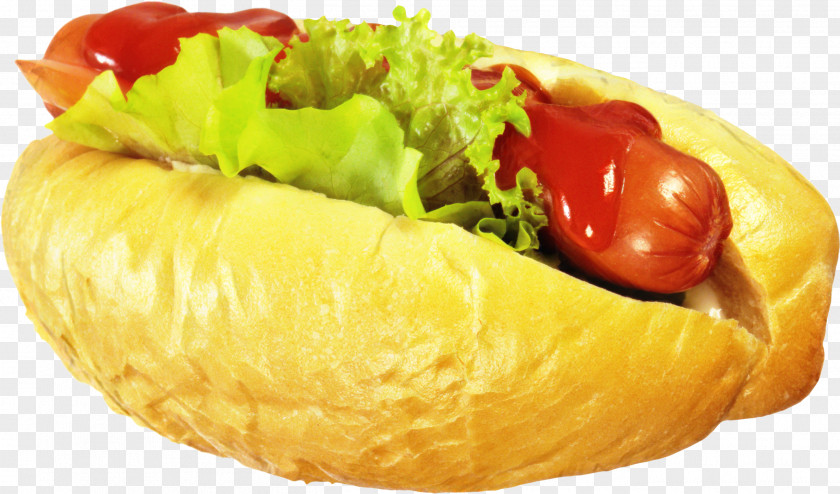 Chicagostyle Hot Dog Ingredient Junk Food Cartoon PNG