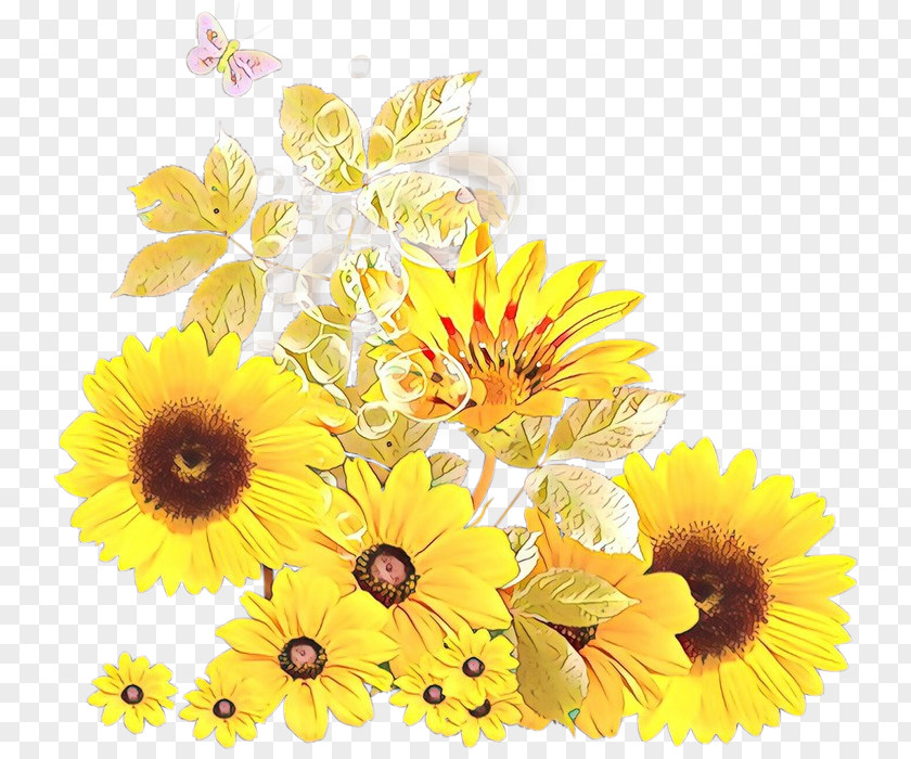 Daisy Family Petal Sunflower PNG