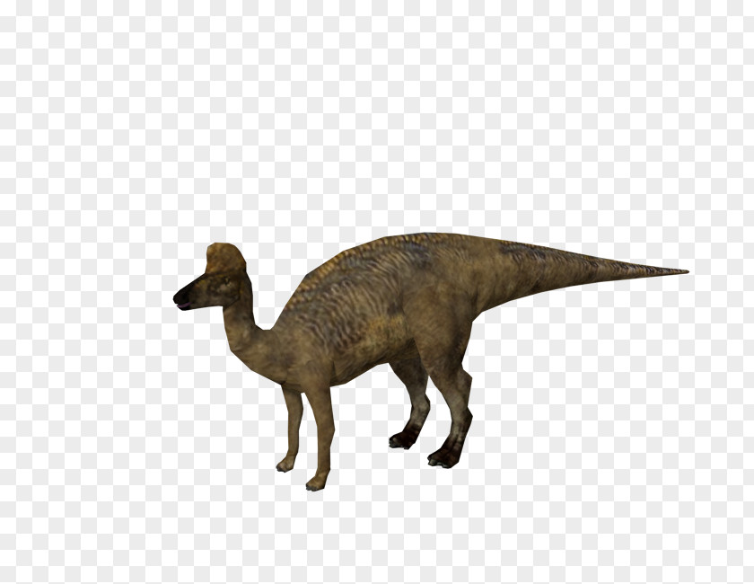 Dinosaur Velociraptor Corythosaurus Jurassic Park: Operation Genesis Hadrosaurus Lambeosaurus PNG