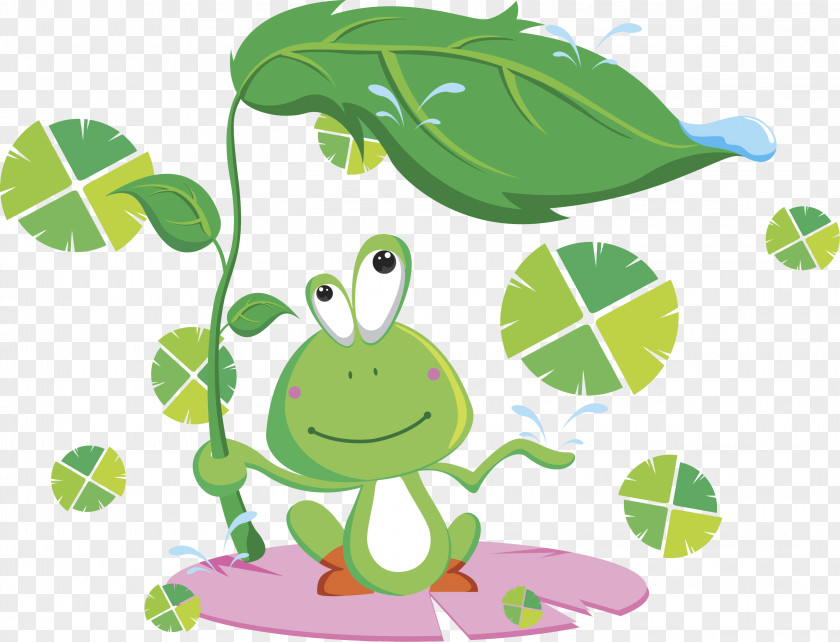 Green Leaves Frog Rain PNG