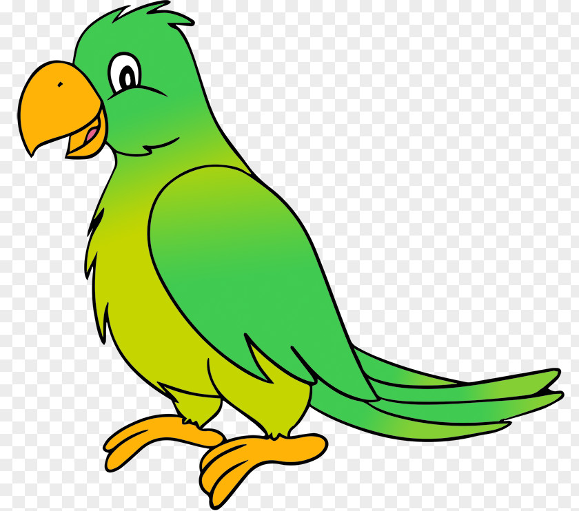 Guitar Cartoon Pics Parrot Lovebird Clip Art PNG