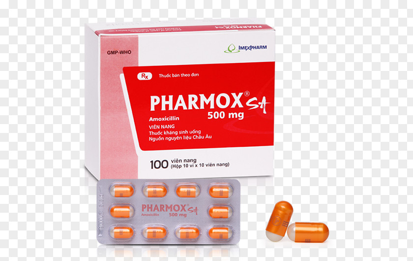 Hoa Sứ Amoxicillin Cefaclor Antibiotics Trimethoprim/sulfamethoxazole Excipient PNG