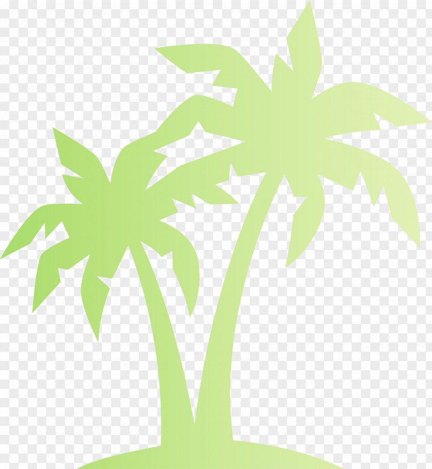 Palm Trees PNG