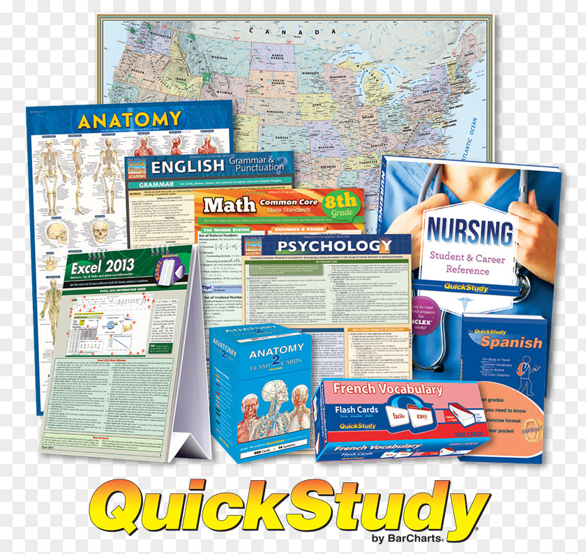 Quick Card Study Skills Flashcard Information Anatomy Vocabulary PNG