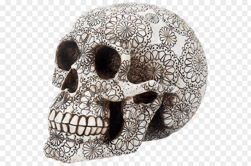 Skull Head Mouth Face Light PNG
