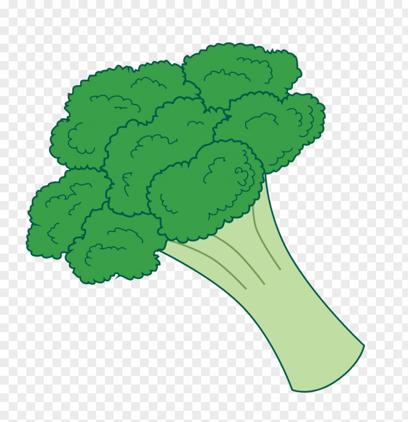 Broccoli Cliparts Slaw Vegetable Clip Art PNG