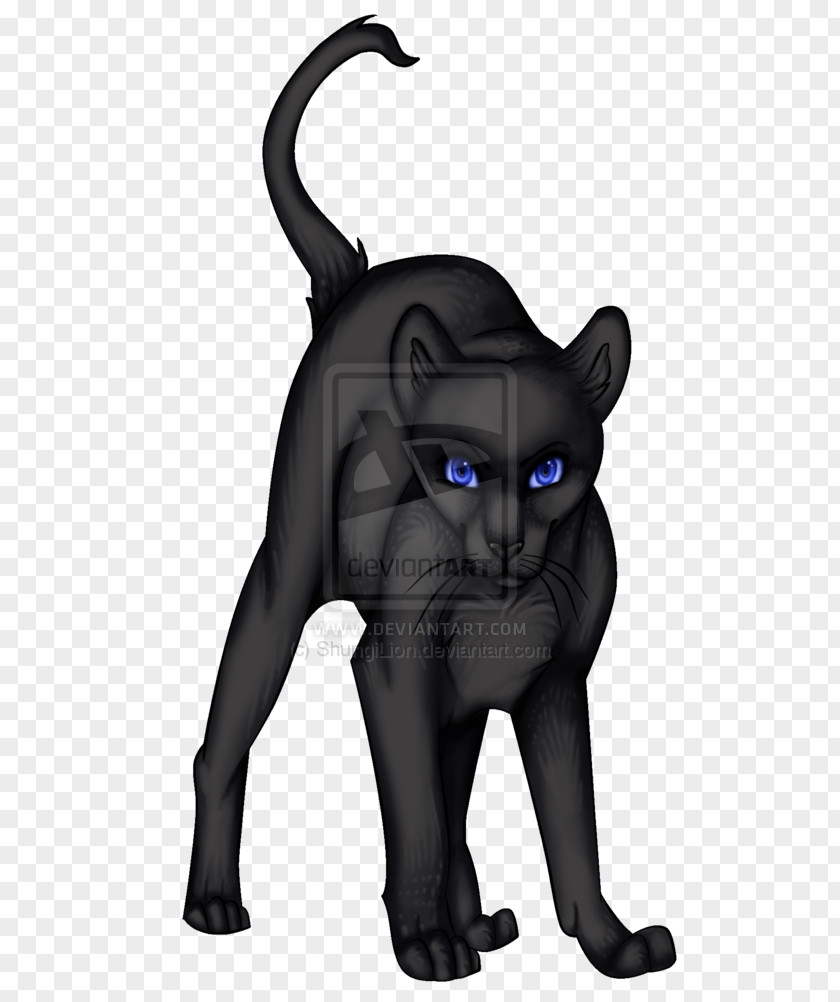 Cat Black Whiskers Art Crowfeather PNG