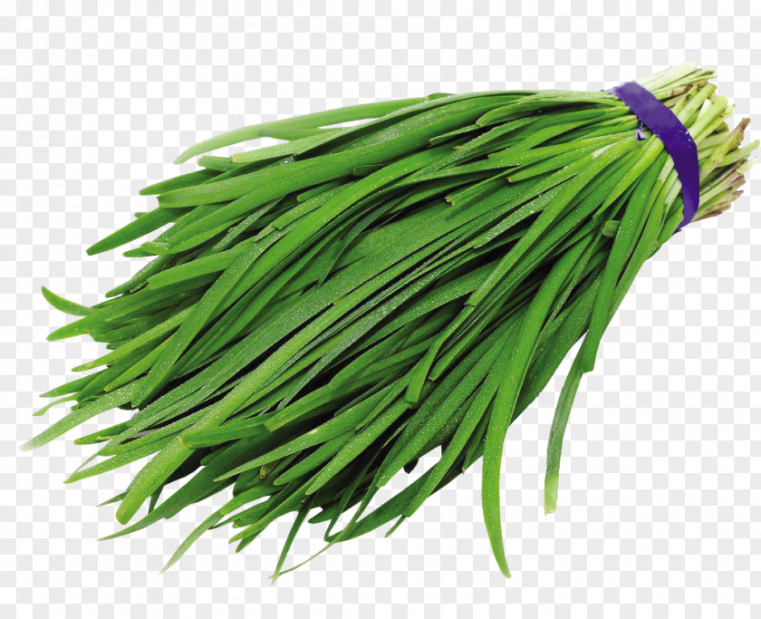 Garlic Chinese Cuisine Chives Vegetable PNG