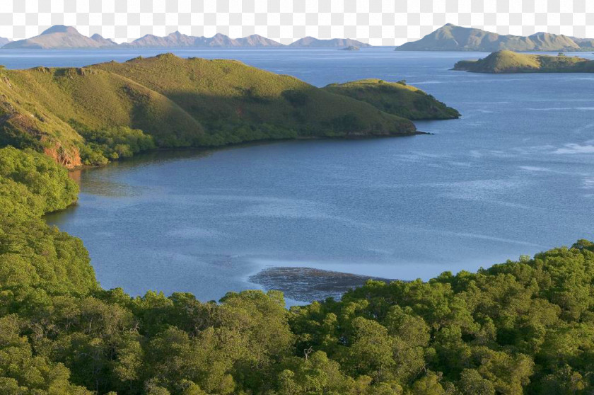 Komodo National Park Scenery Rinca Beijing World PNG