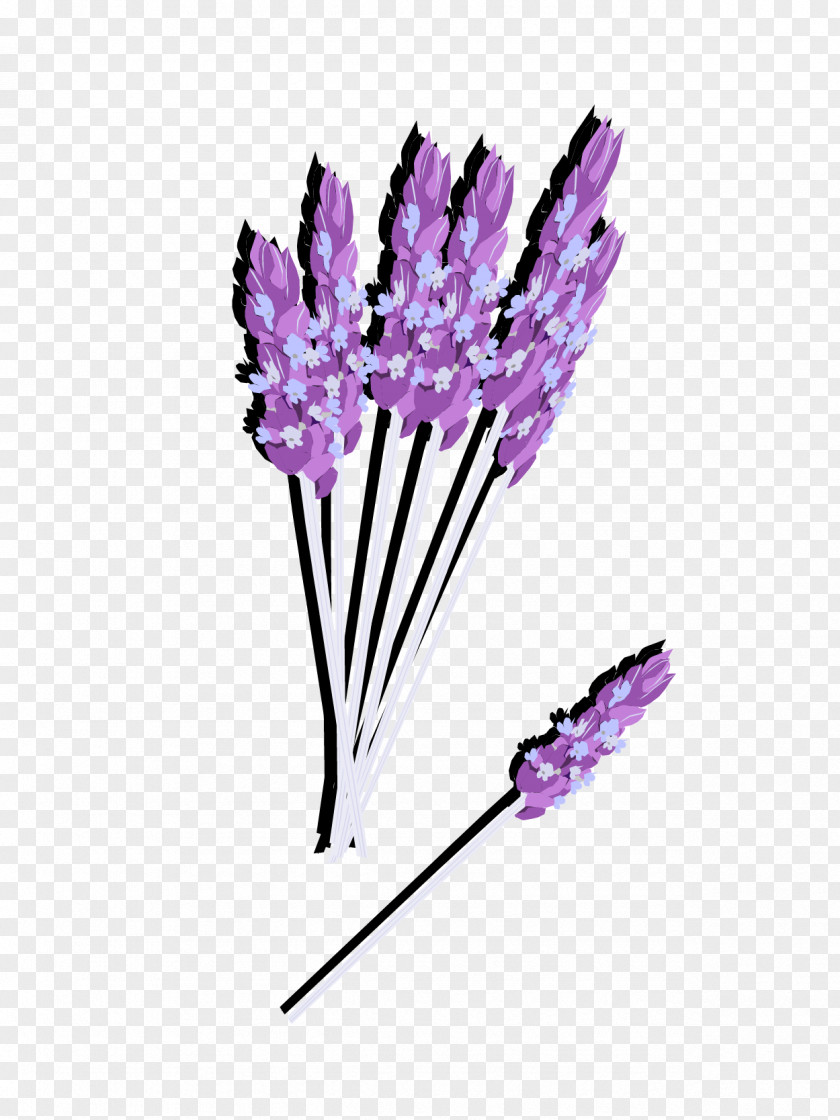 Lavender Bouquet Vector English Euclidean Flower Violet PNG