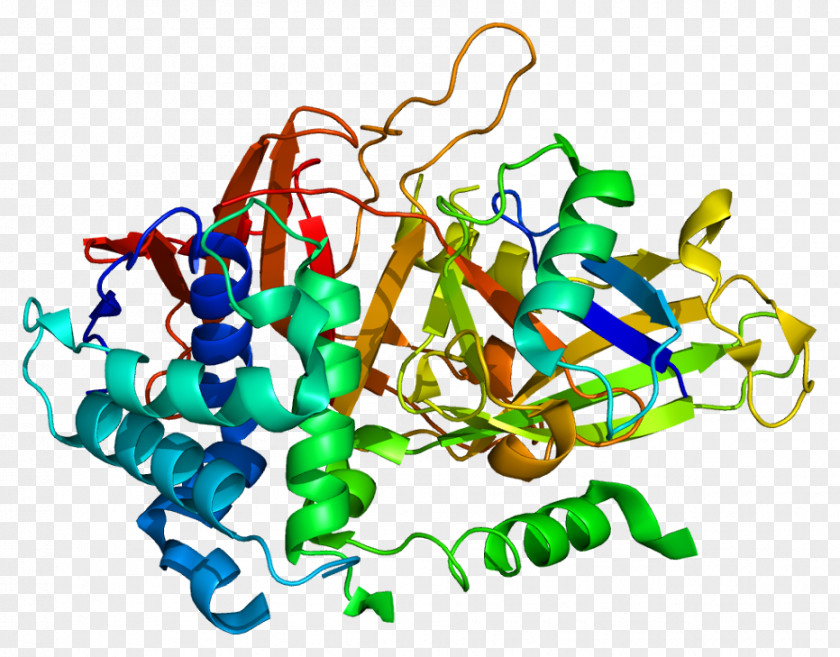 USP2 Protein Mdm2 Gene Ubiquitin PNG