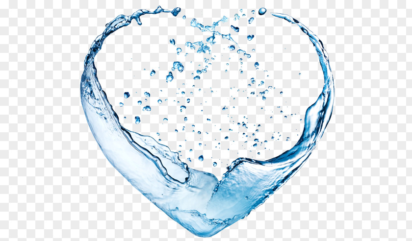 Water Coconut Ionizer Heart PNG