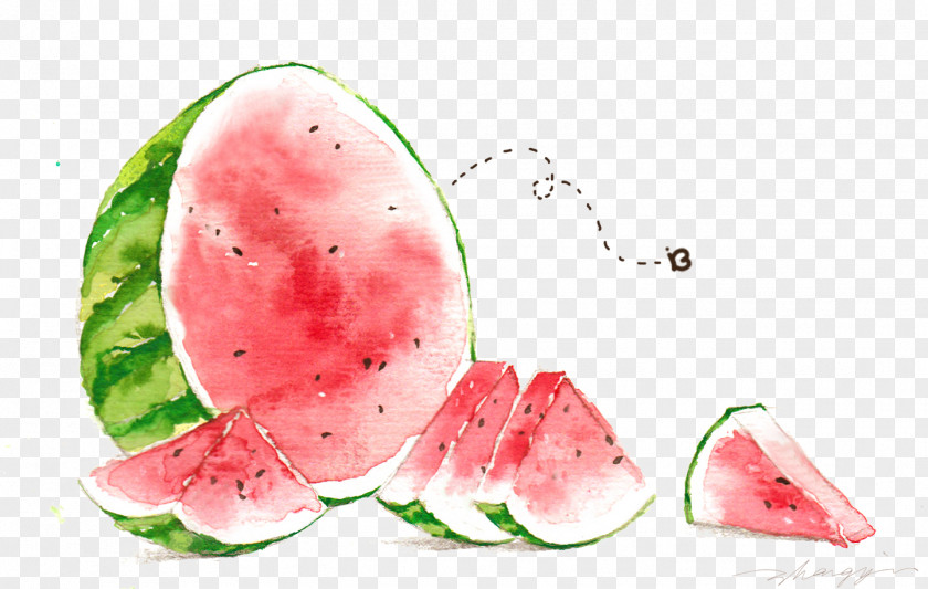 A Big Watermelon Watercolor Painting Illustration PNG