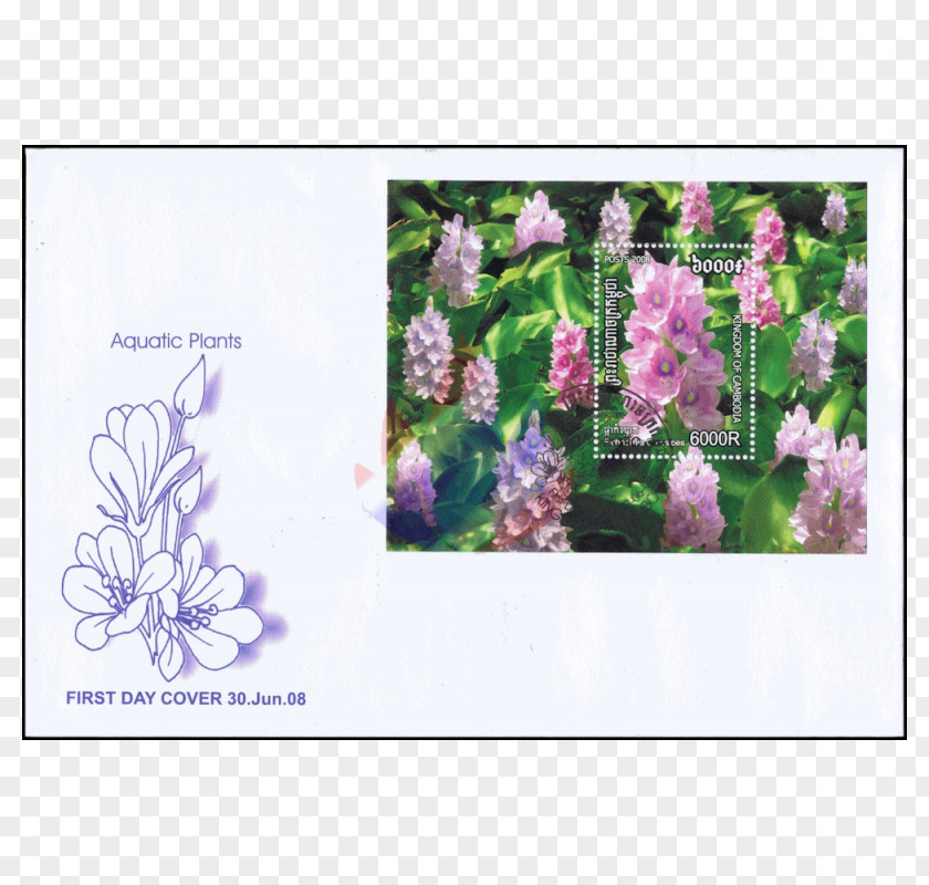 Alternanthera Reineckii Postage Stamps Lavender Flora Flower PNG