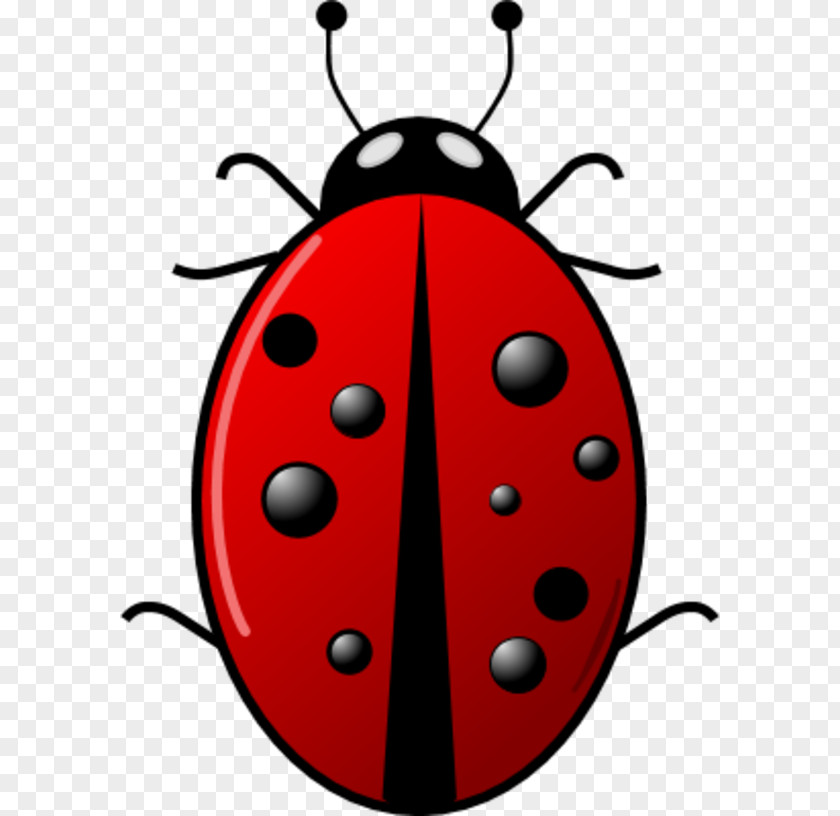 Cartoon Ladybug Clipart Beetle Ladybird Green Clip Art PNG