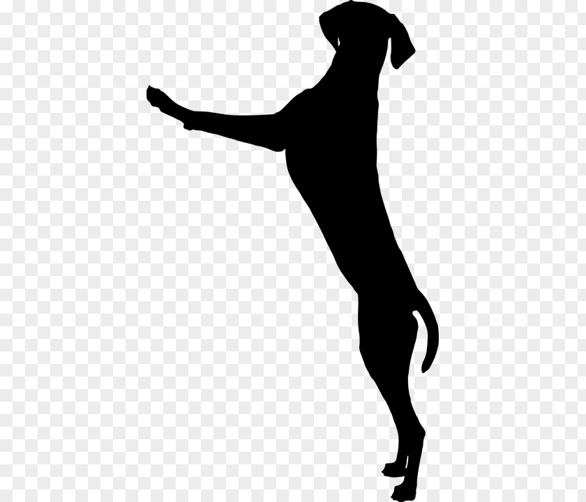 силуэт Dog Breed Puppy Greenland Training Clip Art PNG