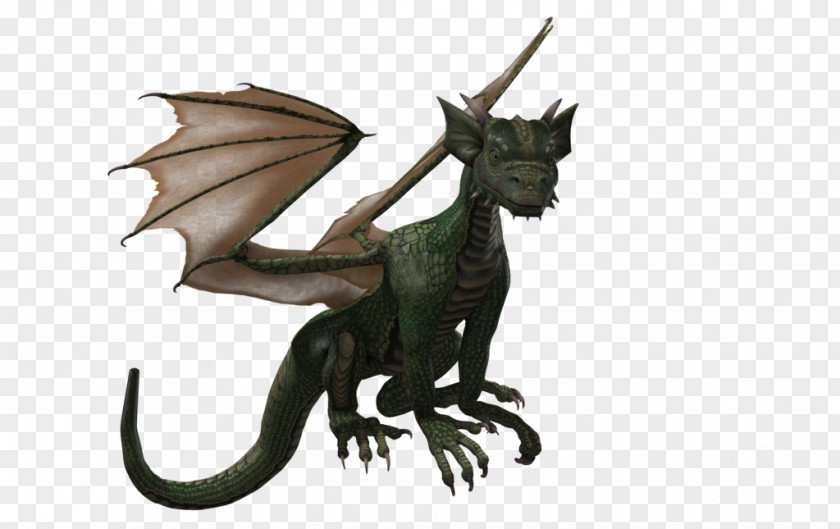 Dragon European Wyvern Aerodactyl PNG