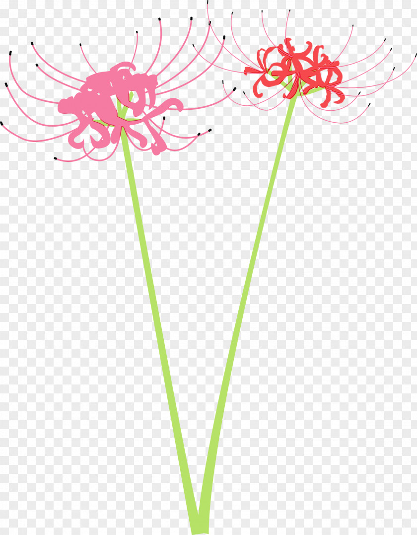 Flower Pink Plant Cut Flowers Pedicel PNG
