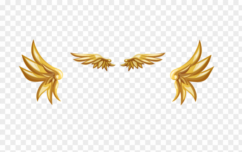 Golden Wings Gold PNG
