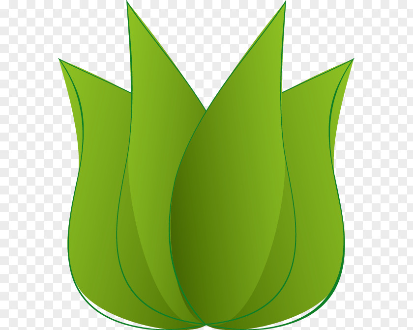 Green Leaves Logo PNG