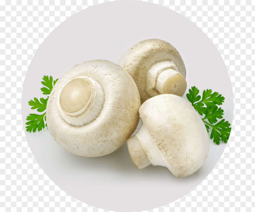 Mushroom Common Edible Nagpur Casserole PNG