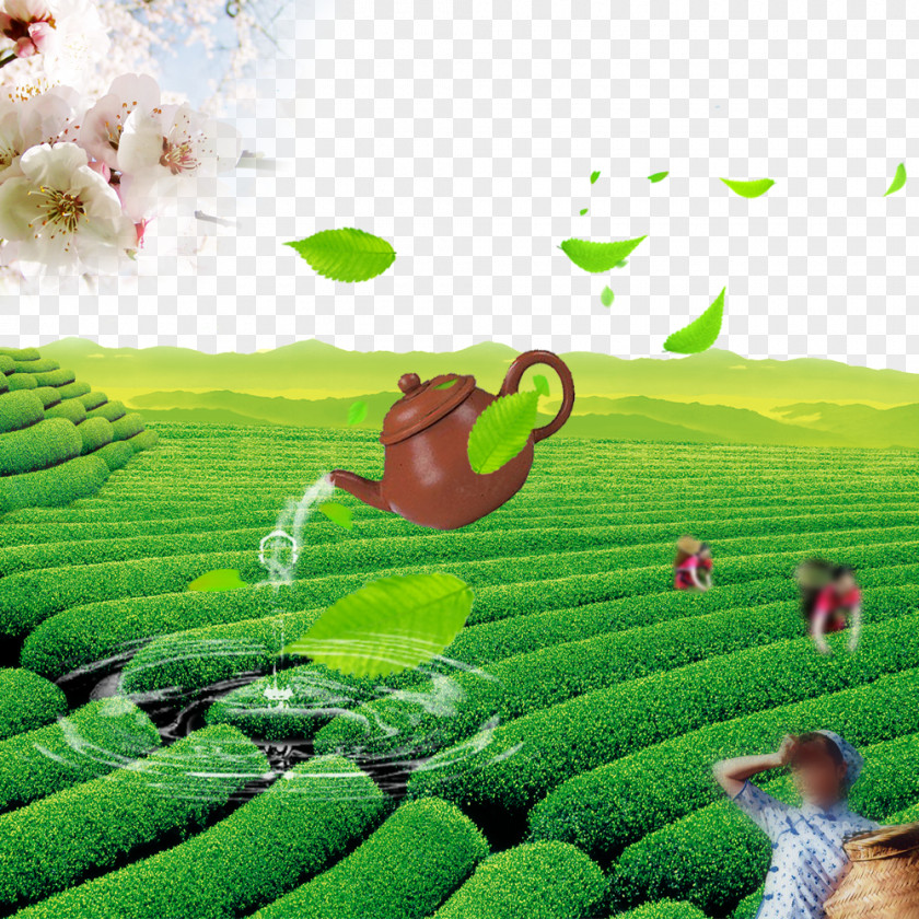 Spring Morning Tea Download Computer File PNG
