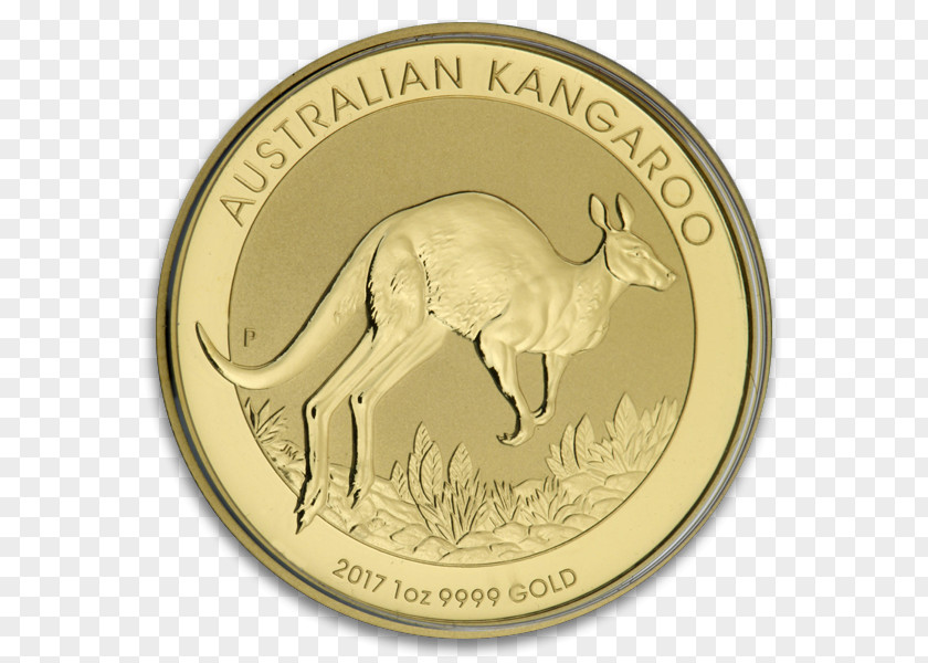 Coin Gold Animal PNG