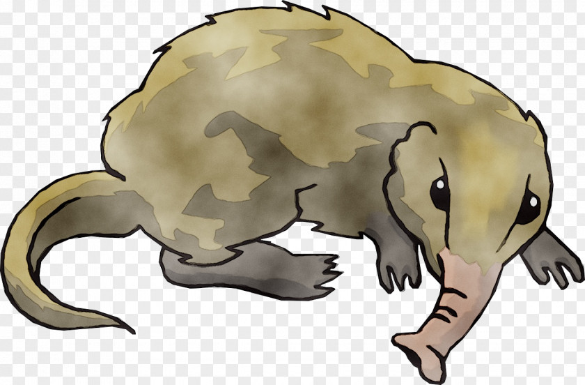 Elephant Shrew Clip Art Animal PNG