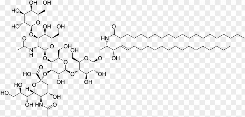 GD2 Ganglioside Ceramide Glycosphingolipid PNG