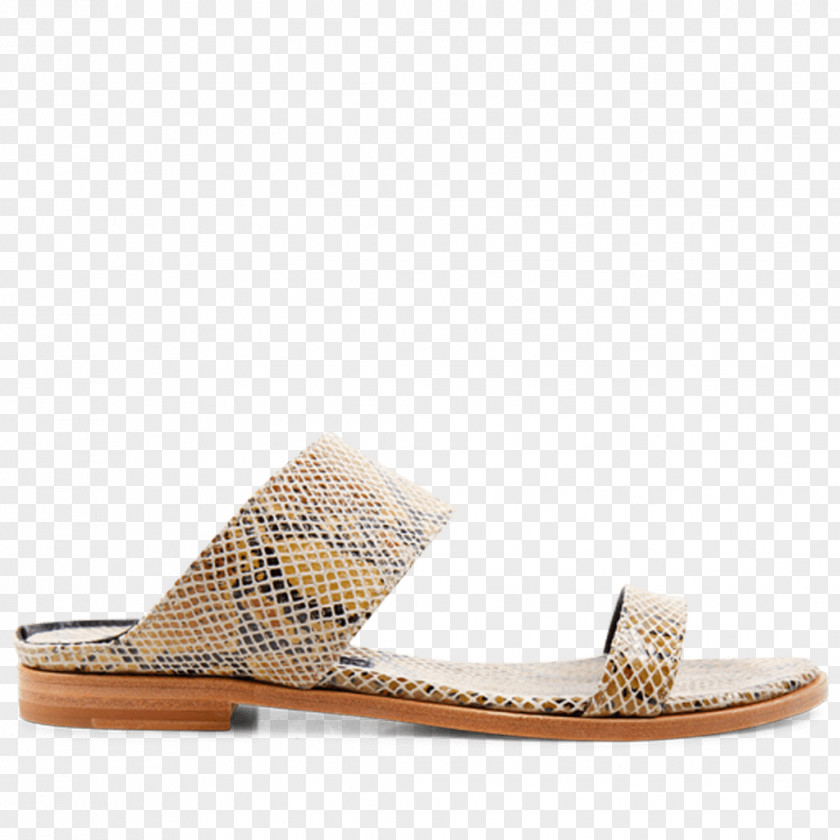 IT Trade Fair Poster Slide Sandal Shoe PNG