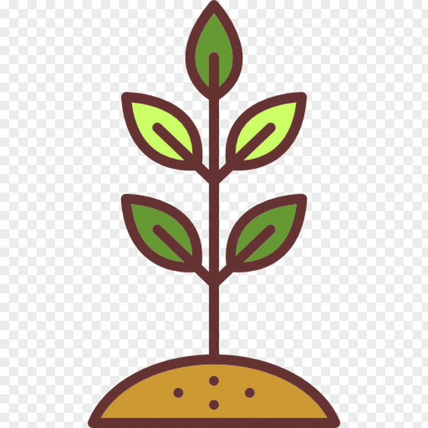 Seed Sprouting Plant Brussels Sprout Clip Art PNG