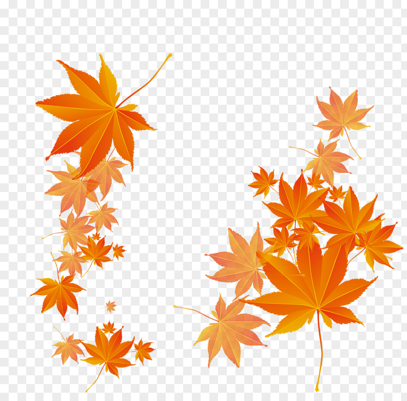Autumn Leaves Fluttering Maple Leaf PNG