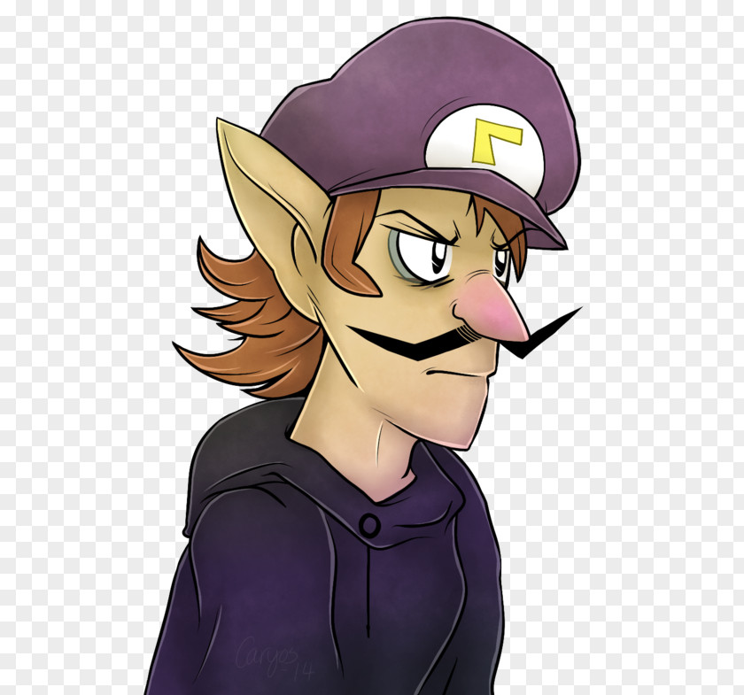 Camelot Group Waluigi Mario Tennis Human Wario PNG