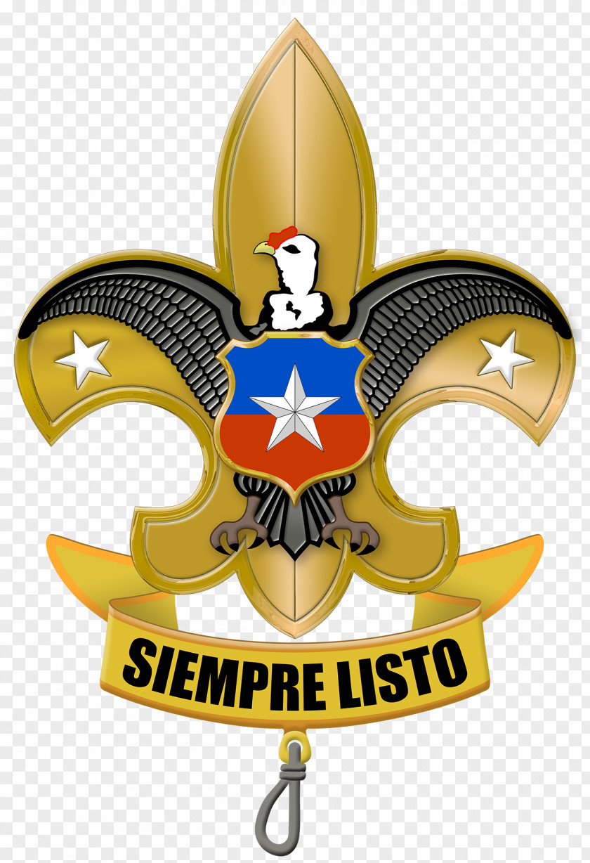 Flor De Lis Agrupación Nacional Boy Scouts Chile Scouting Asociación Guías Y Escultismo En Organization PNG