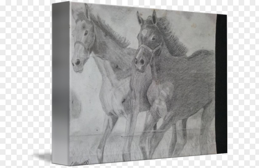 Galloping Horse Mustang Stallion Drawing Monochrome Photography PNG