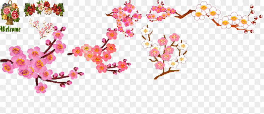 Plum Flower Blossom Download Clip Art PNG