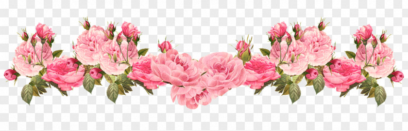 Rose Borders And Frames Floral Design Clip Art Flower PNG